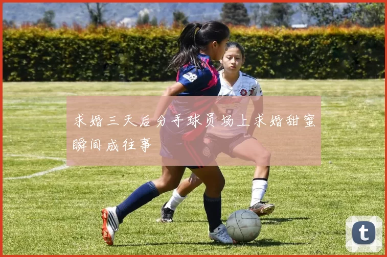 求婚三天后分手球员场上求婚甜蜜瞬间成往事